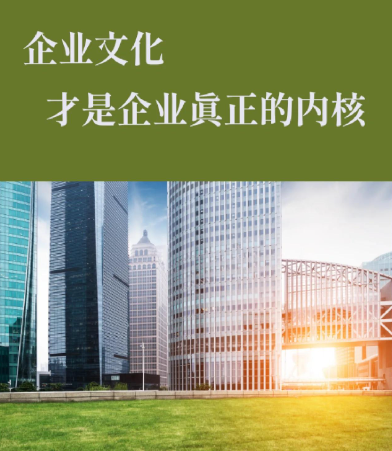 杭州威梦文化创意有限公司品牌IP形象设计服务全流程解析